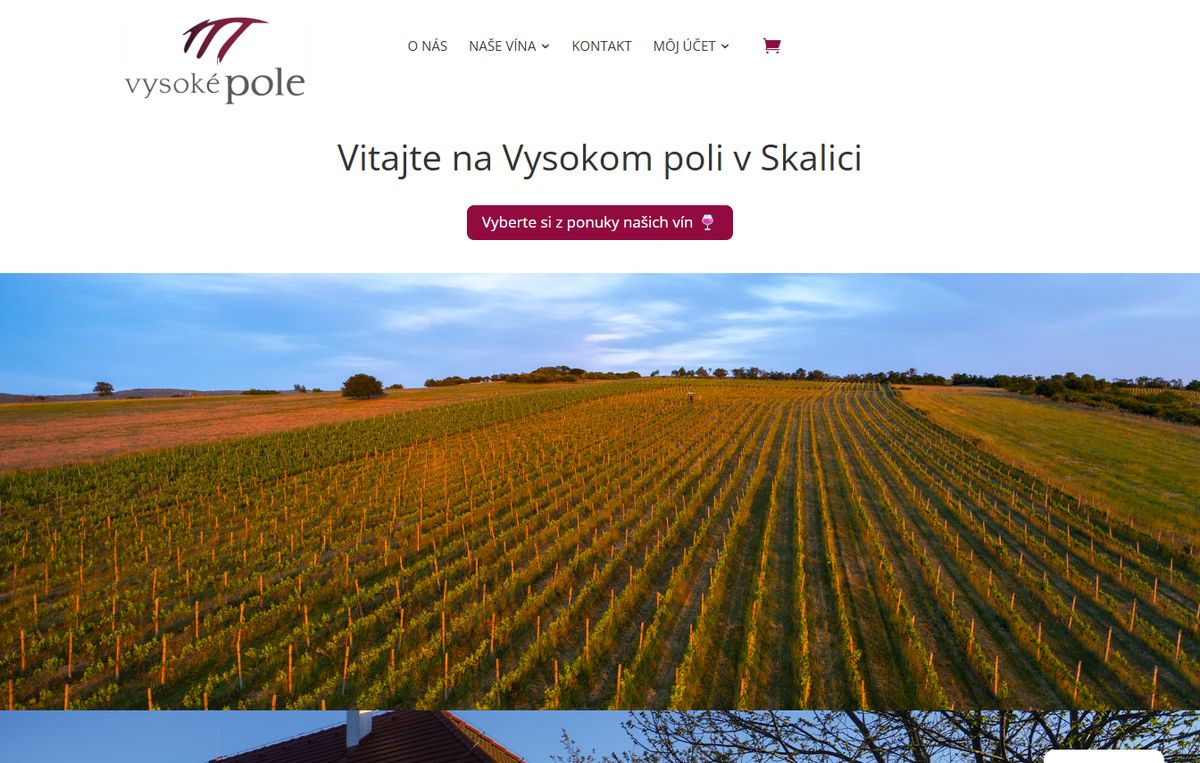Vysoké Pole